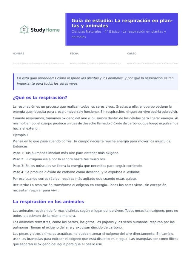 Vista previa: La respiración en plantas y animales