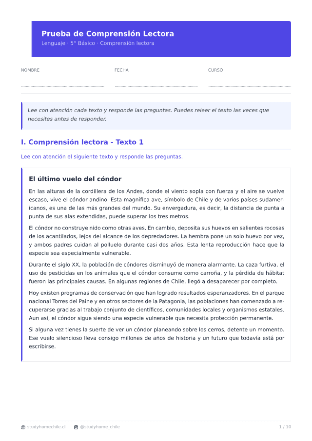 Primera página del documento de Comprensión lectora en 5° Básico: fichas y ejercicios para imprimir, tal como se descarga